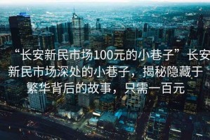 “長安新民市場100元的小巷子”長安新民市場深處的小巷子，揭秘隱藏于繁華背后的故事，只需一百元