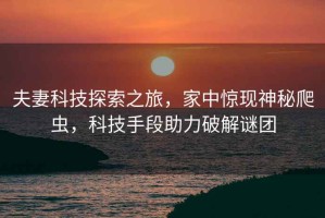 夫妻科技探索之旅，家中驚現(xiàn)神秘爬蟲(chóng)，科技手段助力破解謎團(tuán)