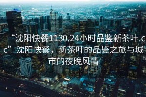 “沈陽快餐1130.24小時(shí)品鑒新茶葉.cc”沈陽快餐，新茶葉的品鑒之旅與城市的夜晚風(fēng)情