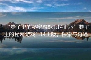 “巷子里的秘密游戲1.14正版”巷子里的秘密游戲1.14正版，探索與奇遇