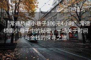 “常德橋南小巷子100元4小時(shí)”常德橋南小巷子中的秘密，一場(chǎng)關(guān)于時(shí)間與金錢的探尋之旅
