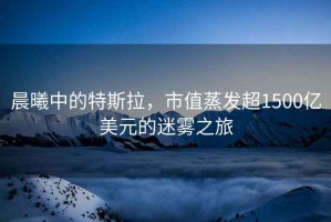 晨曦中的特斯拉，市值蒸發(fā)超1500億美元的迷霧之旅