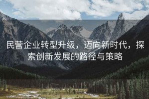民營企業(yè)轉(zhuǎn)型升級，邁向新時代，探索創(chuàng)新發(fā)展的路徑與策略