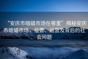 “安慶市暗娼市場在哪里”揭秘安慶市暗娼市場，位置、運營及背后的社會問題