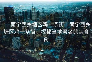 “南寧西鄉(xiāng)塘區(qū)雞一條街”南寧西鄉(xiāng)塘區(qū)雞一條街，揭秘當(dāng)?shù)刂拿朗辰? title=