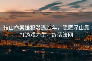 鞍山命案嫌犯潛逃22年，隱匿深山靠打游戲?yàn)樯?，終落法網(wǎng)