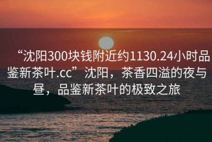 “沈陽300塊錢附近約1130.24小時品鑒新茶葉.cc”沈陽，茶香四溢的夜與晝，品鑒新茶葉的極致之旅