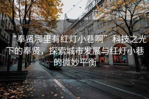 “奉賢哪里有紅燈小巷啊”科技之光下的奉賢，探索城市發(fā)展與紅燈小巷的微妙平衡