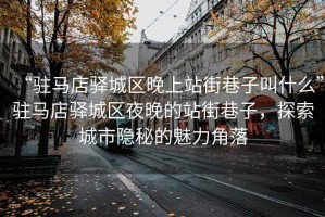 “駐馬店驛城區(qū)晚上站街巷子叫什么”駐馬店驛城區(qū)夜晚的站街巷子，探索城市隱秘的魅力角落