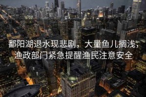 鄱陽(yáng)湖退水現(xiàn)悲劇，大量魚(yú)兒擱淺，漁政部門(mén)緊急提醒漁民注意安全