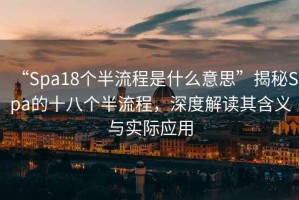 “Spa18個(gè)半流程是什么意思”揭秘Spa的十八個(gè)半流程，深度解讀其含義與實(shí)際應(yīng)用
