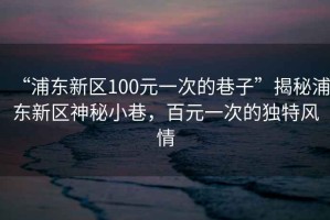 “浦東新區(qū)100元一次的巷子”揭秘浦東新區(qū)神秘小巷，百元一次的獨特風情