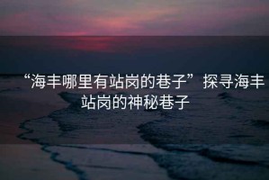 “海豐哪里有站崗的巷子”探尋海豐站崗的神秘巷子