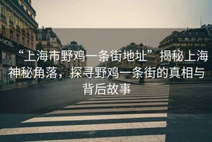 “上海市野雞一條街地址”揭秘上海神秘角落，探尋野雞一條街的真相與背后故事