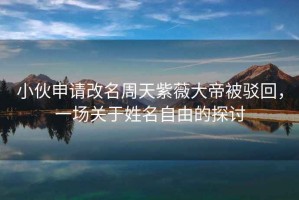 小伙申請改名周天紫薇大帝被駁回，一場關(guān)于姓名自由的探討