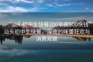 “汕頭初中生快餐200半夜500塊錢”汕頭初中生快餐，深夜的味蕾狂歡與消費(fèi)觀察