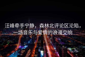 汪峰牽手寧靜，森林北評論區(qū)淪陷，一場音樂與愛情的浪漫交響