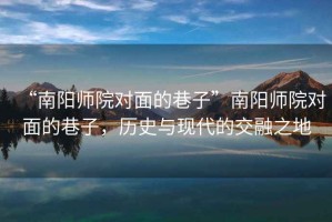 “南陽師院對面的巷子”南陽師院對面的巷子，歷史與現(xiàn)代的交融之地
