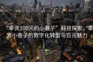 “奉賢100元的小巷子”科技探索，奉賢小巷子的數(shù)字化轉型與百元魅力