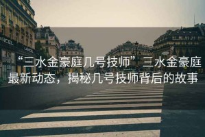 “三水金豪庭幾號技師”三水金豪庭最新動態(tài)，揭秘幾號技師背后的故事