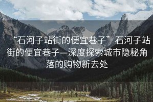 “石河子站街的便宜巷子”石河子站街的便宜巷子—深度探索城市隱秘角落的購(gòu)物新去處