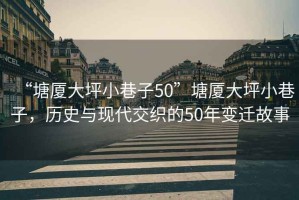 “塘廈大坪小巷子50”塘廈大坪小巷子，歷史與現(xiàn)代交織的50年變遷故事