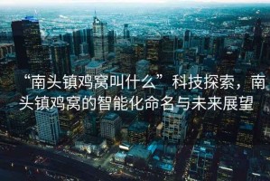 “南頭鎮(zhèn)雞窩叫什么”科技探索，南頭鎮(zhèn)雞窩的智能化命名與未來展望