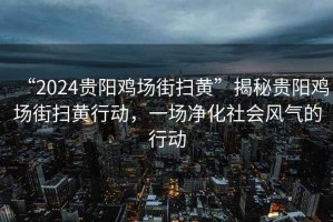 “2024貴陽雞場街掃黃”揭秘貴陽雞場街掃黃行動(dòng)，一場凈化社會(huì)風(fēng)氣的行動(dòng)