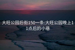 大旺公園后街150一條:大旺公園晚上11點(diǎn)后的小巷