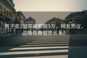 男子賣2盆花被索賠5萬，網(wǎng)友熱議，這啥花竟值這么多？