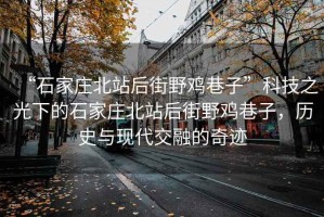“石家莊北站后街野雞巷子”科技之光下的石家莊北站后街野雞巷子，歷史與現(xiàn)代交融的奇跡