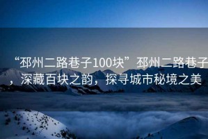 “邳州二路巷子100塊”邳州二路巷子，深藏百塊之韻，探尋城市秘境之美