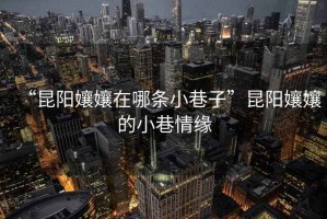 “昆陽(yáng)孃孃在哪條小巷子”昆陽(yáng)孃孃的小巷情緣