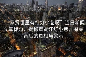 “奉賢哪里有紅燈小巷啊”當(dāng)日新聞文章標(biāo)題，揭秘奉賢紅燈小巷，探尋背后的真相與警示