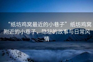 “紙坊雞窩最近的小巷子”紙坊雞窩附近的小巷子，隱秘的故事與日常風(fēng)情