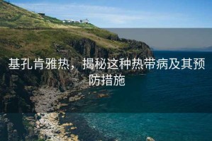 基孔肯雅熱，揭秘這種熱帶病及其預(yù)防措施