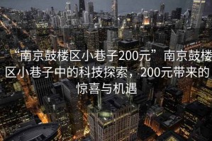 “南京鼓樓區(qū)小巷子200元”南京鼓樓區(qū)小巷子中的科技探索，200元帶來的驚喜與機(jī)遇