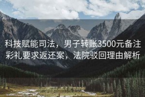 科技賦能司法，男子轉(zhuǎn)賬3500元備注彩禮要求返還案，法院駁回理由解析