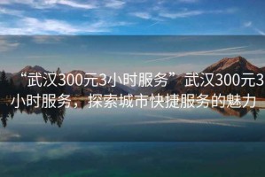 “武漢300元3小時(shí)服務(wù)”武漢300元3小時(shí)服務(wù)，探索城市快捷服務(wù)的魅力