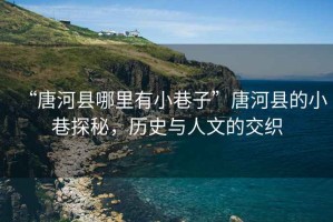 “唐河縣哪里有小巷子”唐河縣的小巷探秘，歷史與人文的交織