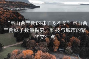 “昆山合豐街的妹子多不多”昆山合豐街妹子數(shù)量探究，科技與城市的繁華交匯點