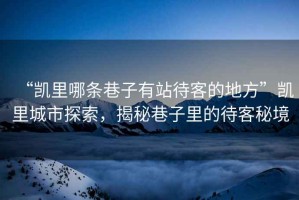 “凱里哪條巷子有站待客的地方”凱里城市探索，揭秘巷子里的待客秘境