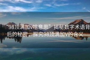 “98頂滿加v啥意思”揭秘?cái)?shù)字術(shù)語背后的秘密，探究98頂滿加V的含義