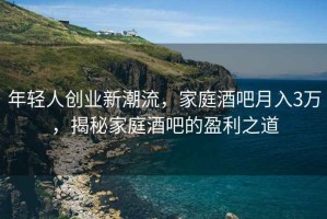 年輕人創(chuàng)業(yè)新潮流，家庭酒吧月入3萬，揭秘家庭酒吧的盈利之道