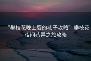 “攀枝花晚上耍的巷子攻略”攀枝花夜間巷弄之旅攻略