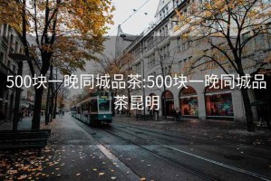 500塊一晚同城品茶:500塊一晚同城品茶昆明