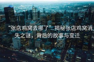 “張店雞窩去哪了”揭秘張店雞窩消失之謎，背后的故事與變遷