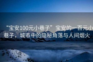“寶安100元小巷子”寶安的一百元小巷子，城市中的隱秘角落與人間煙火