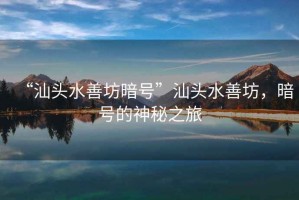 “汕頭水善坊暗號”汕頭水善坊，暗號的神秘之旅
