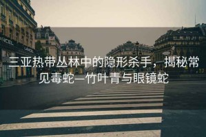 三亞熱帶叢林中的隱形殺手，揭秘常見毒蛇—竹葉青與眼鏡蛇